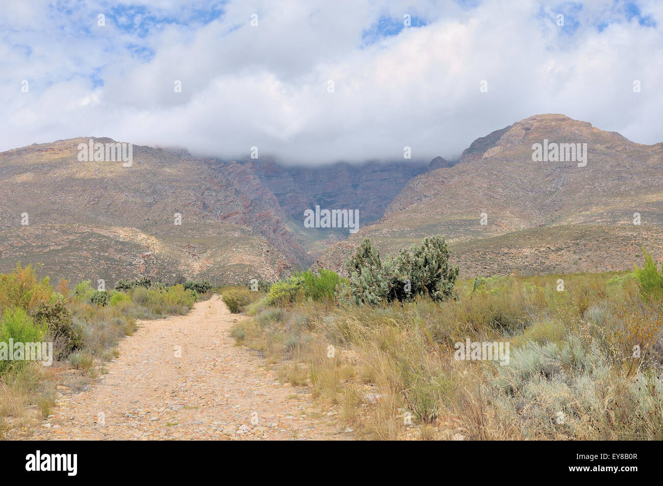 Vista verso est dalla N1 strada verso le montagne del dado esagonale sulla Valle del fiume nella provincia del Capo occidentale del Sud Africa Foto Stock