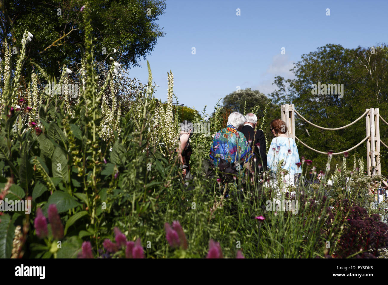 Le persone che visitano Glyndebourne per l'opera durante il festival nel mese di luglio godetevi i giardini & picnic sui prati. Lewes SUSSEX REGNO UNITO Foto Stock