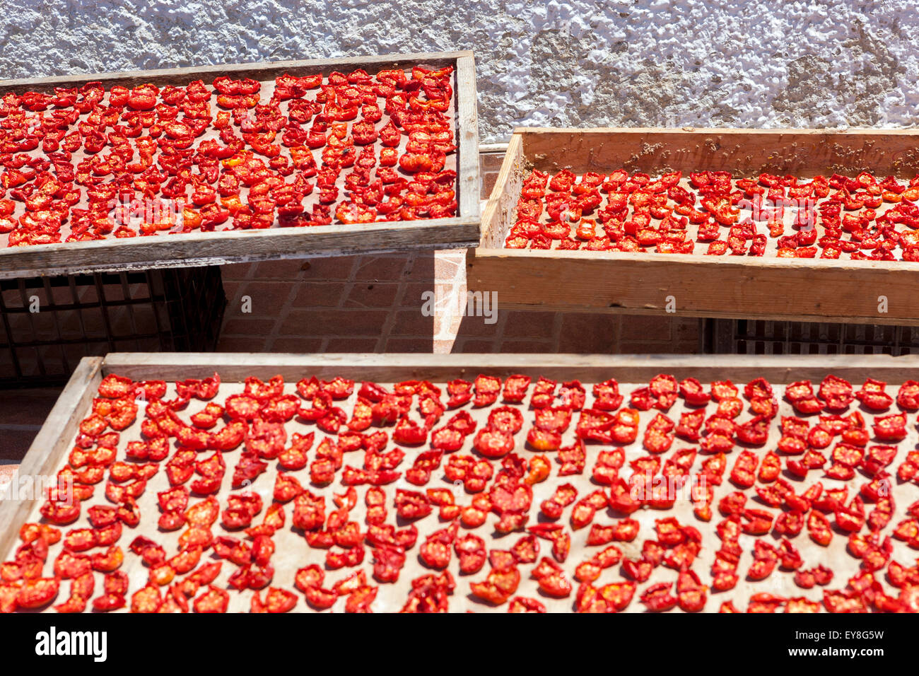 Pomodori secchi al sole in greco Oia cibo, Santorini pomodoro Grecia agricoltura in una piccola fattoria Foto Stock