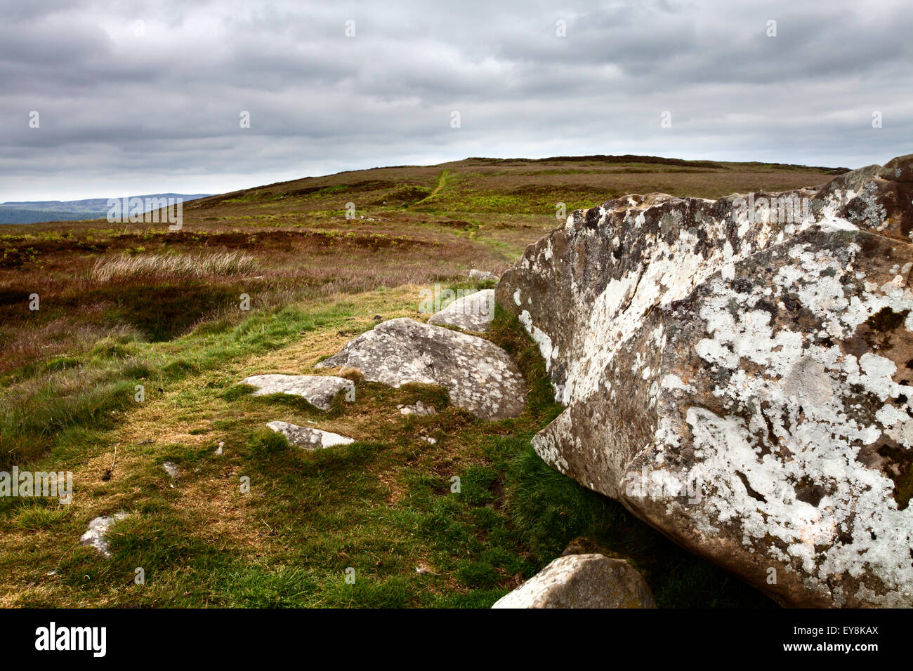 Cup e la boccola marcata Rock e Lordenshaws Iron Age Hillfort su Garleigh Moor Rothbury Northumberland Inghilterra Foto Stock