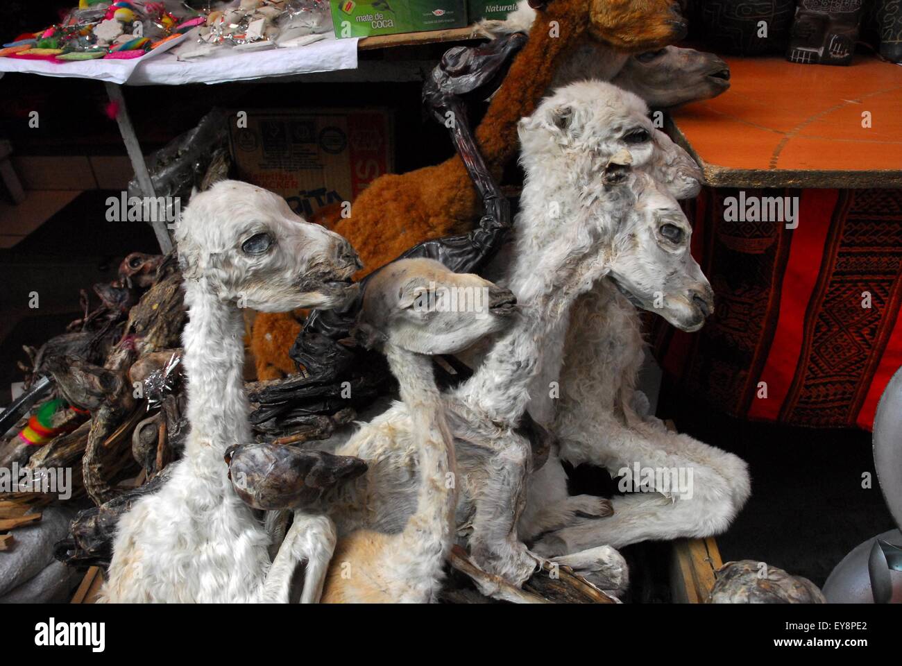 Lama essiccati corpi, streghe Mercato - La Paz, Bolivia, Sud America Foto Stock