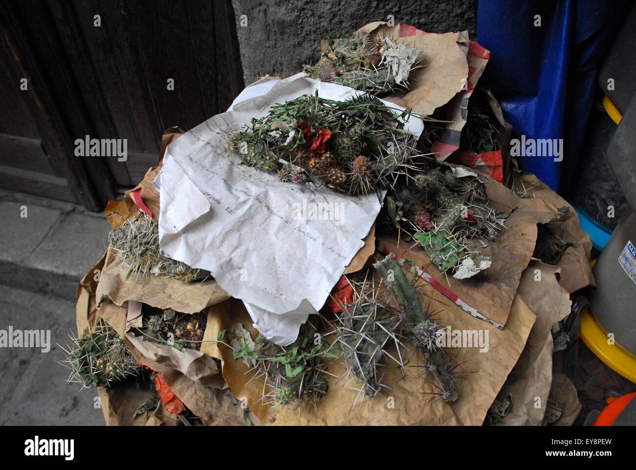 Pezzi di cactus, streghe Mercato - La Paz, Bolivia, Sud America Foto Stock