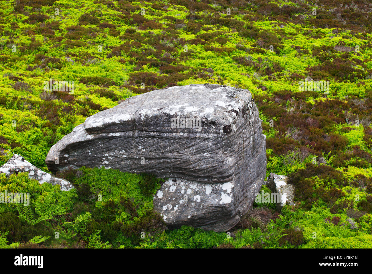 Hard Rock arenaria formazione nella brughiera a Colomba roccioso in colline Simonside Rothbury Northumberland Inghilterra Foto Stock
