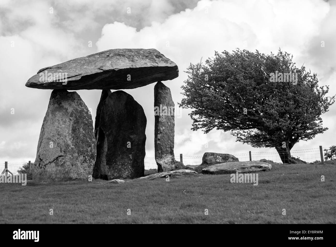 Monocromatico - Pentre Ifan sepoltura camera sul bordo delle Colline Prescelli a Pembrokeshire Coast National Park, il Galles in Maggio Foto Stock