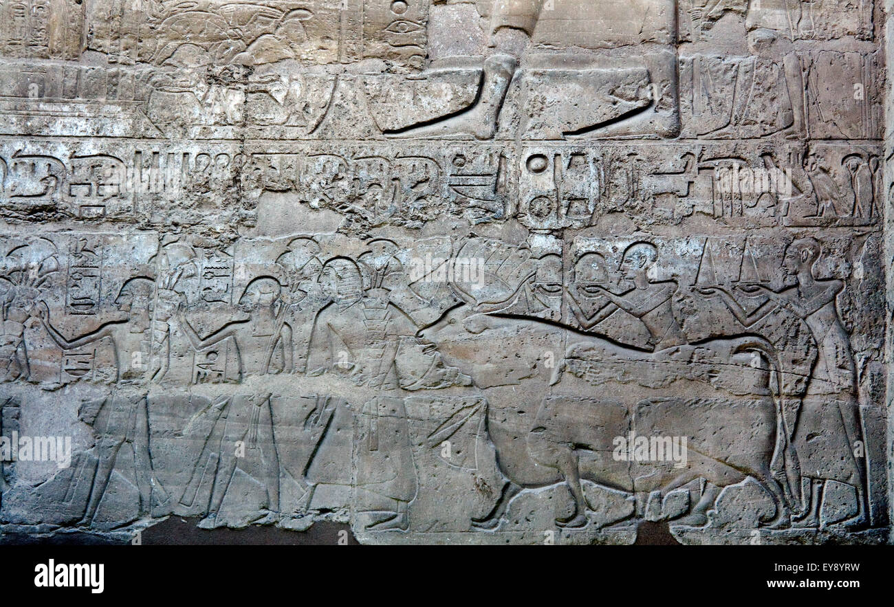 Luxor, Egitto. Tempio di Luxor (Ipet resyt): portatrici di doni Foto Stock
