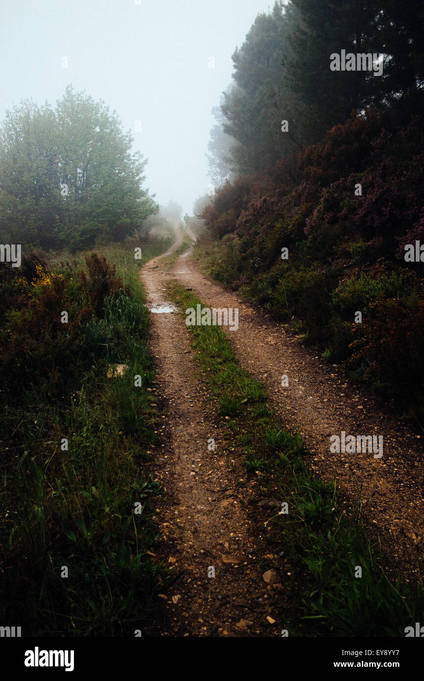 Misty percorso attraverso lo spagnolo hillside Foto Stock