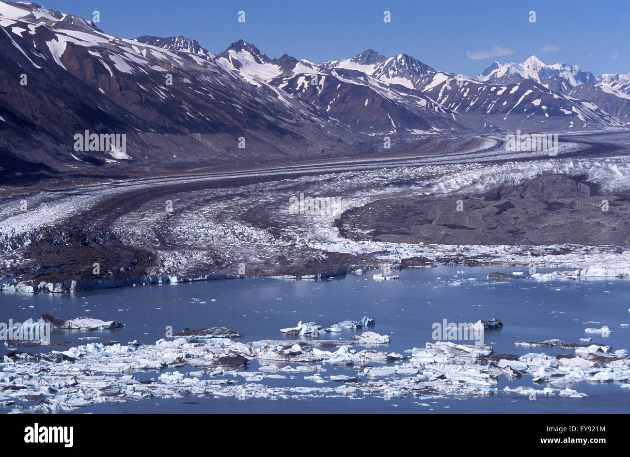 Walker ghiacciaio in Yukon Territory Foto Stock