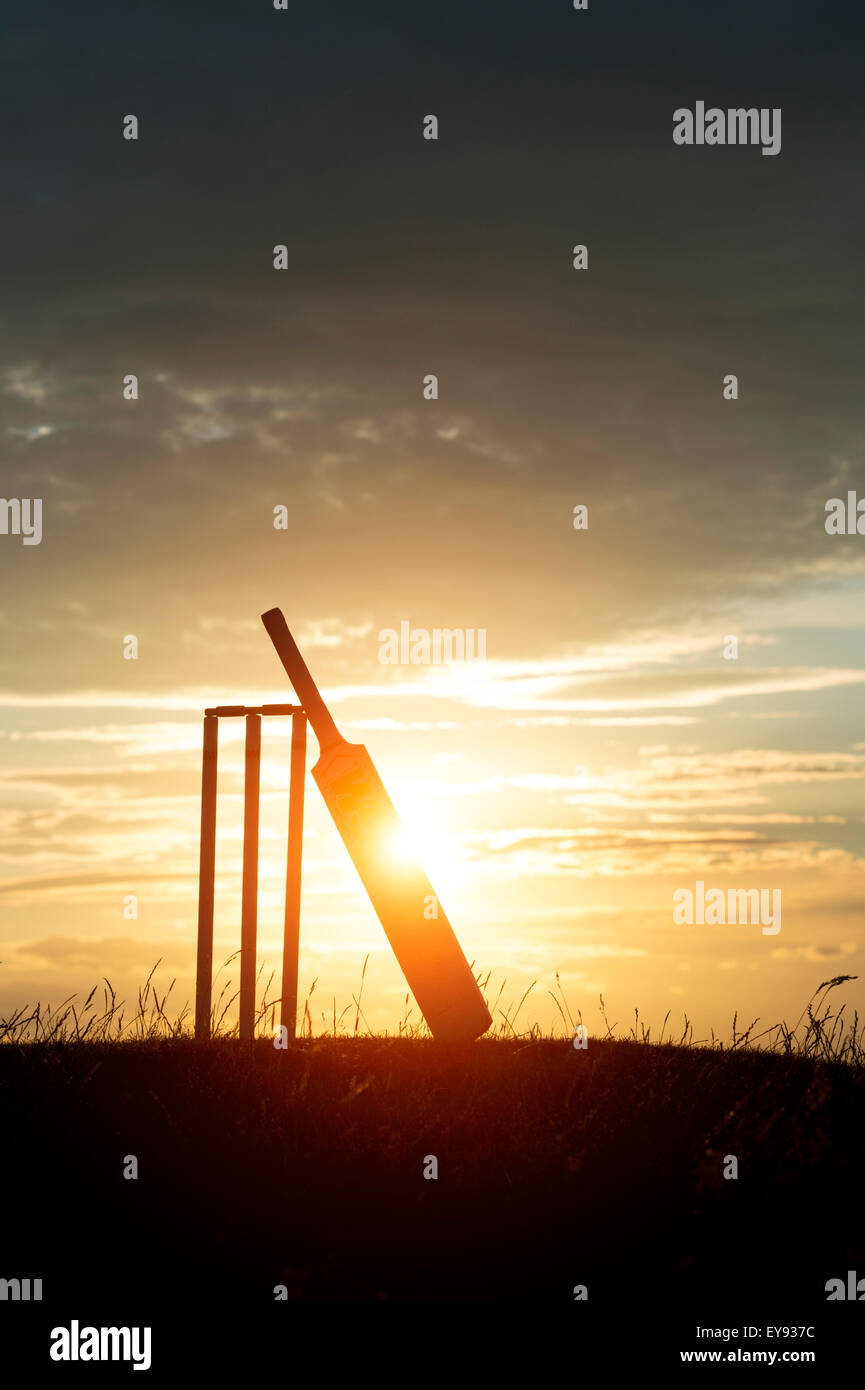 Cricket bat e monconi al tramonto. Silhouette Foto Stock