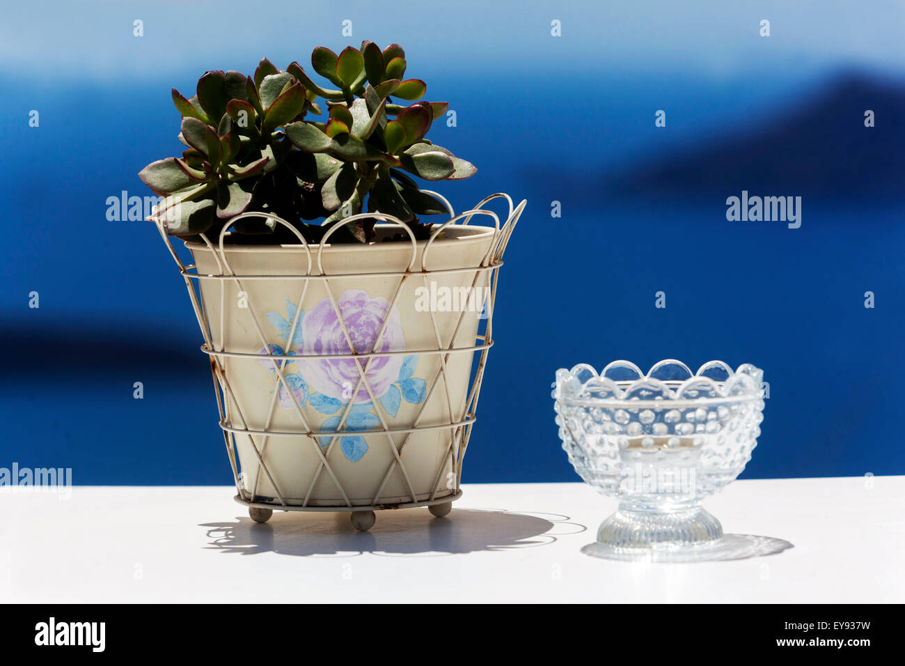 Crassula in vaso, Terrazza sul mare nella caldera, Santorini Grecia romantica vista Foto Stock