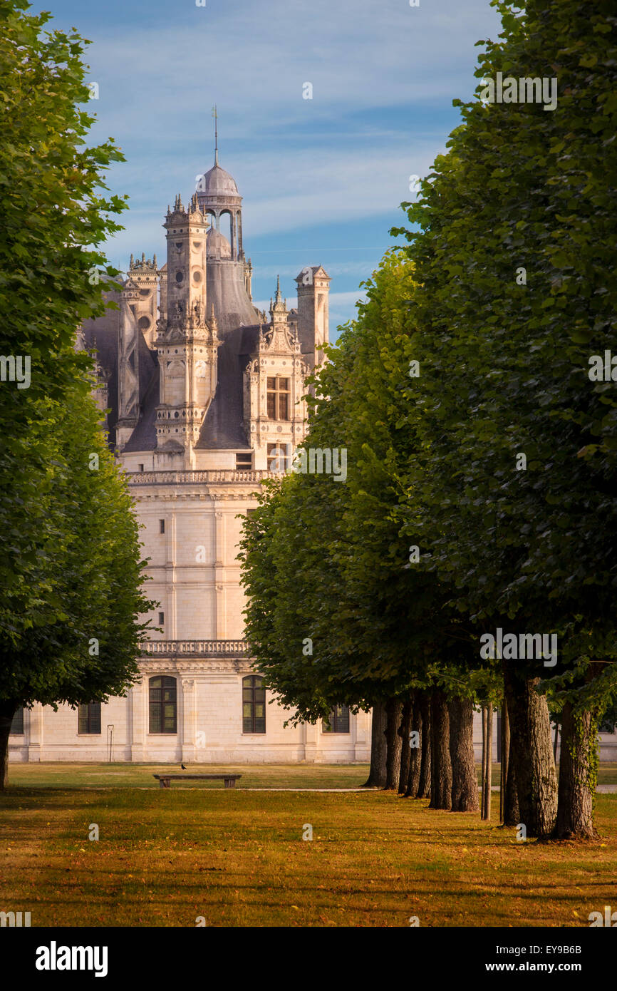 La mattina presto su Chateau de Chambord, Loir-et-Cher, Centre, Francia Foto Stock