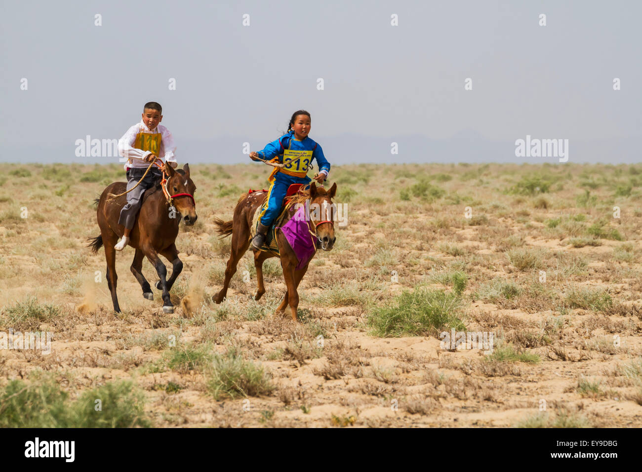 Asia,cavalli,Equestrian,Animali domestici,Fauna Foto Stock