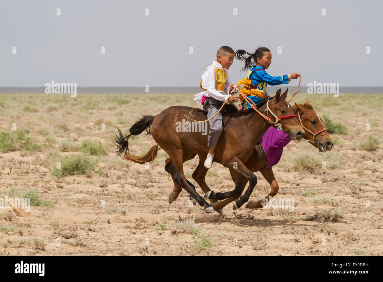 Asia,cavalli,Equestrian,Animali domestici,Fauna Foto Stock