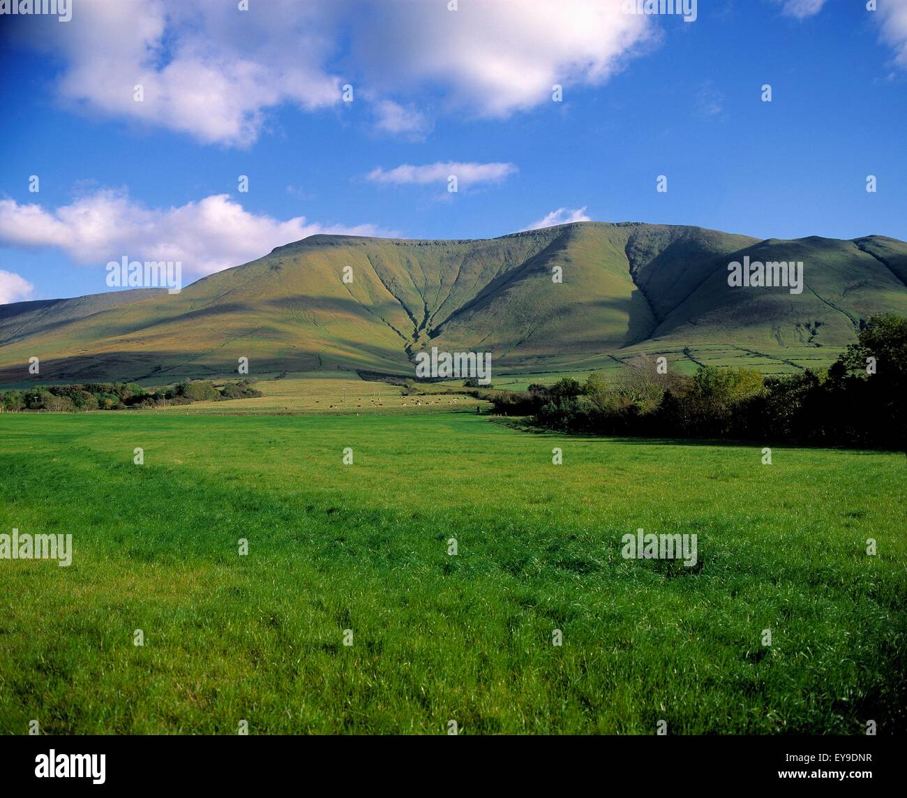 Il Galtee montagne vicino Anglesborough, Co Tipperary, Irlanda Foto Stock