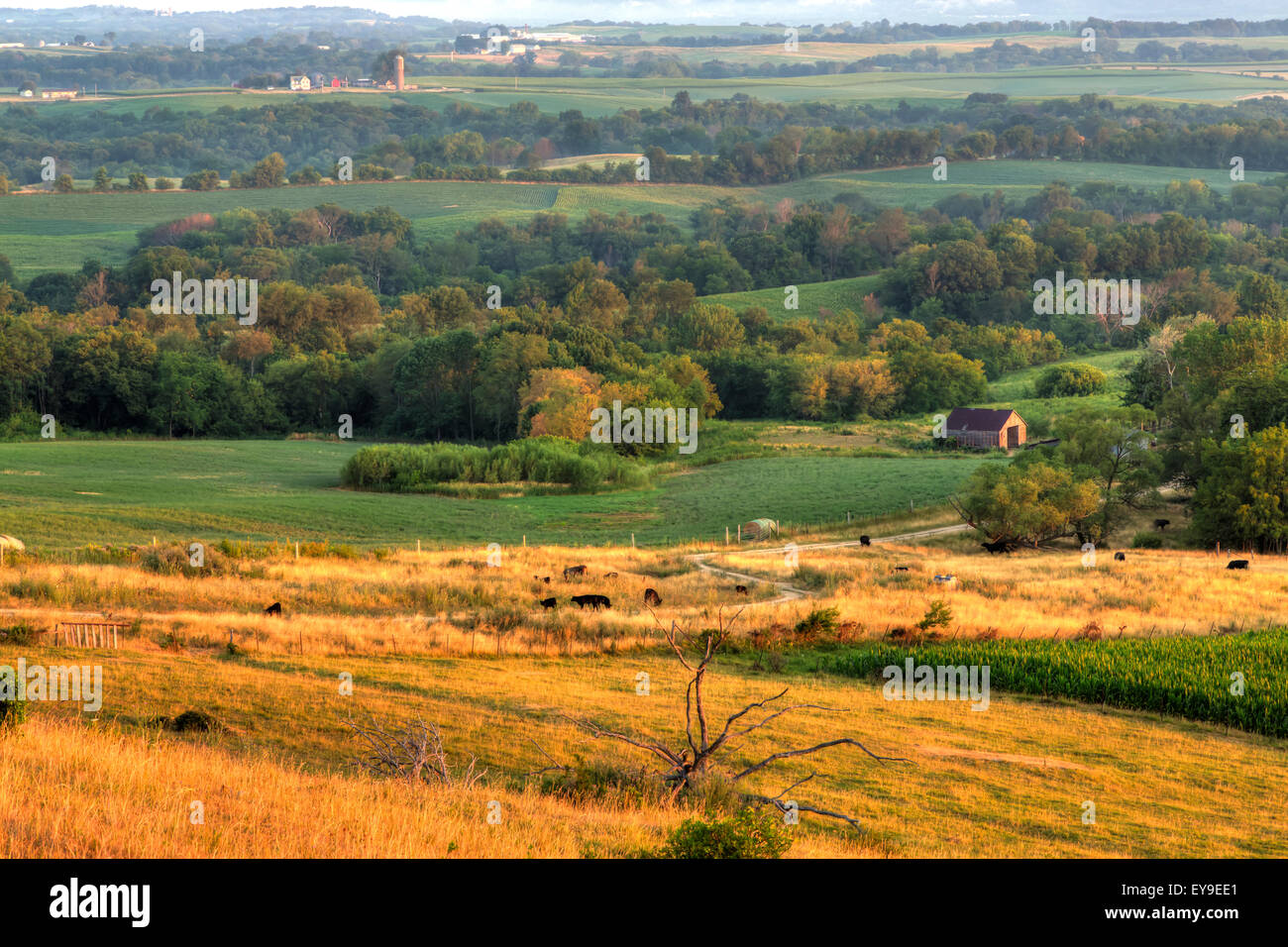 Vista panoramica di terreni agricoli e il Mississippi River Valley a sunrise, vicino Balltown; Iowa, Stati Uniti d'America Foto Stock