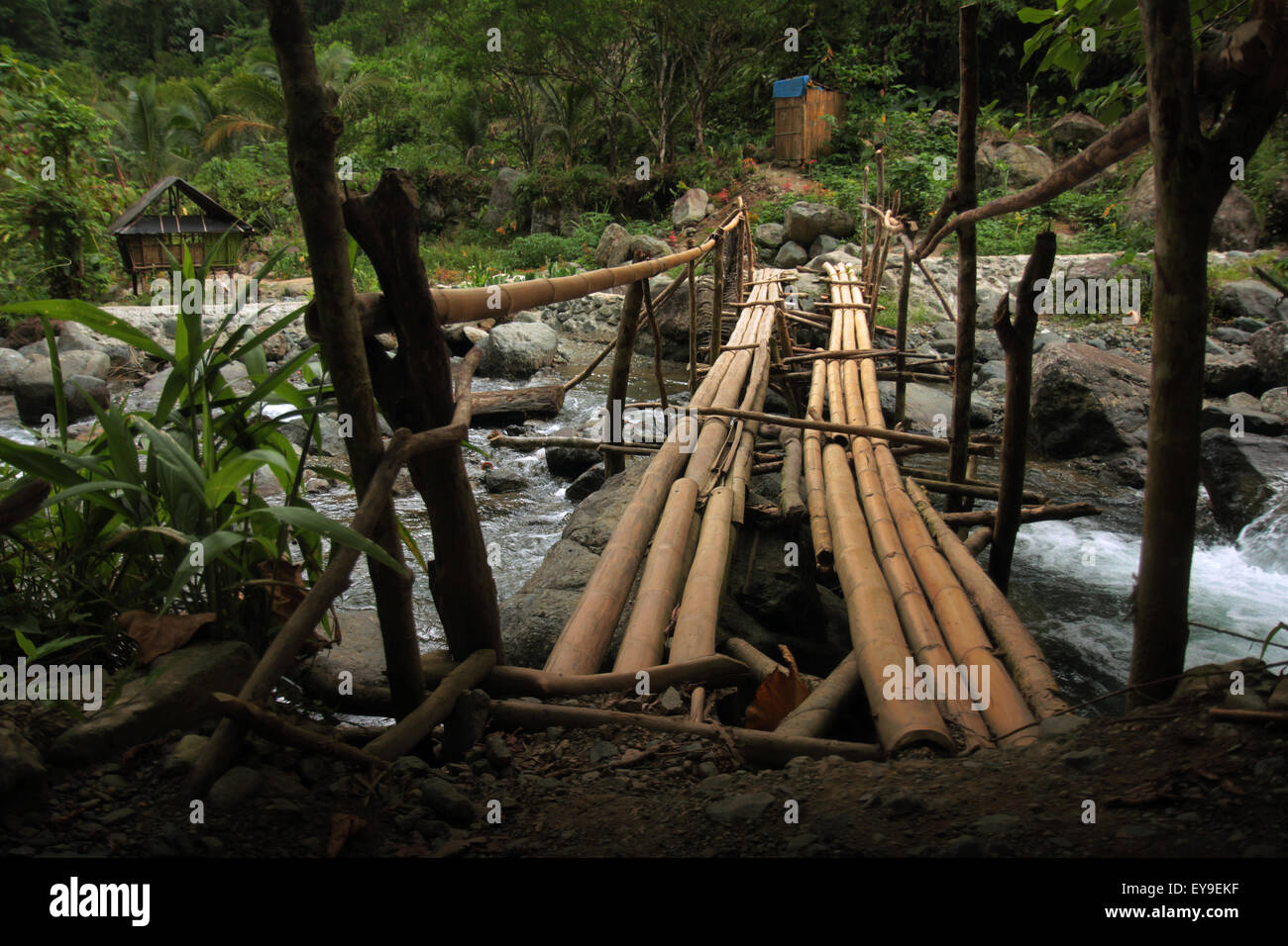 Un piede di bambù ponte attraversa un fiume tropicale sul modo per Ditumabo cade, imballatrice, Filippine. Foto Stock