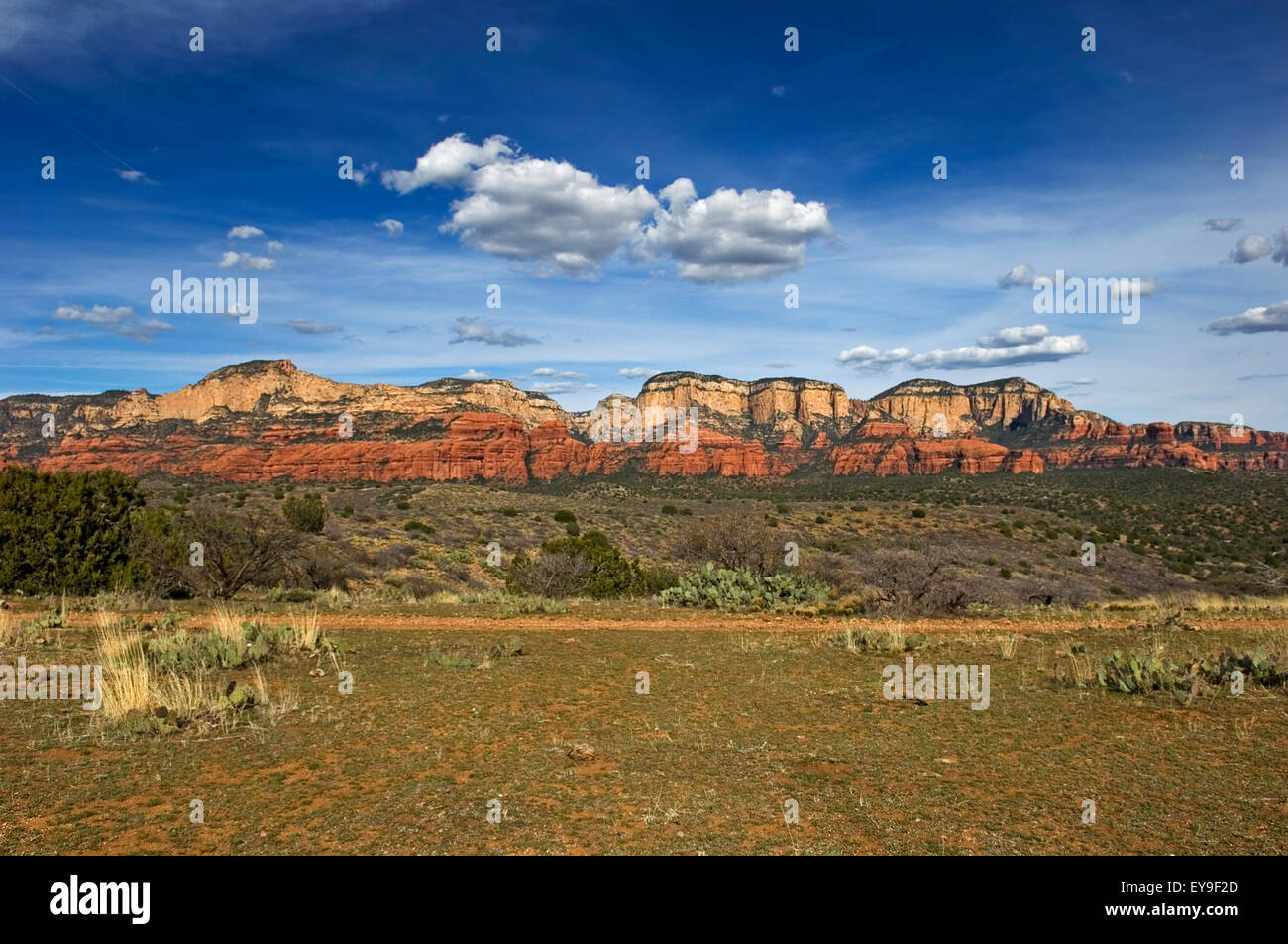 Il Red Rock Country. Foto Stock