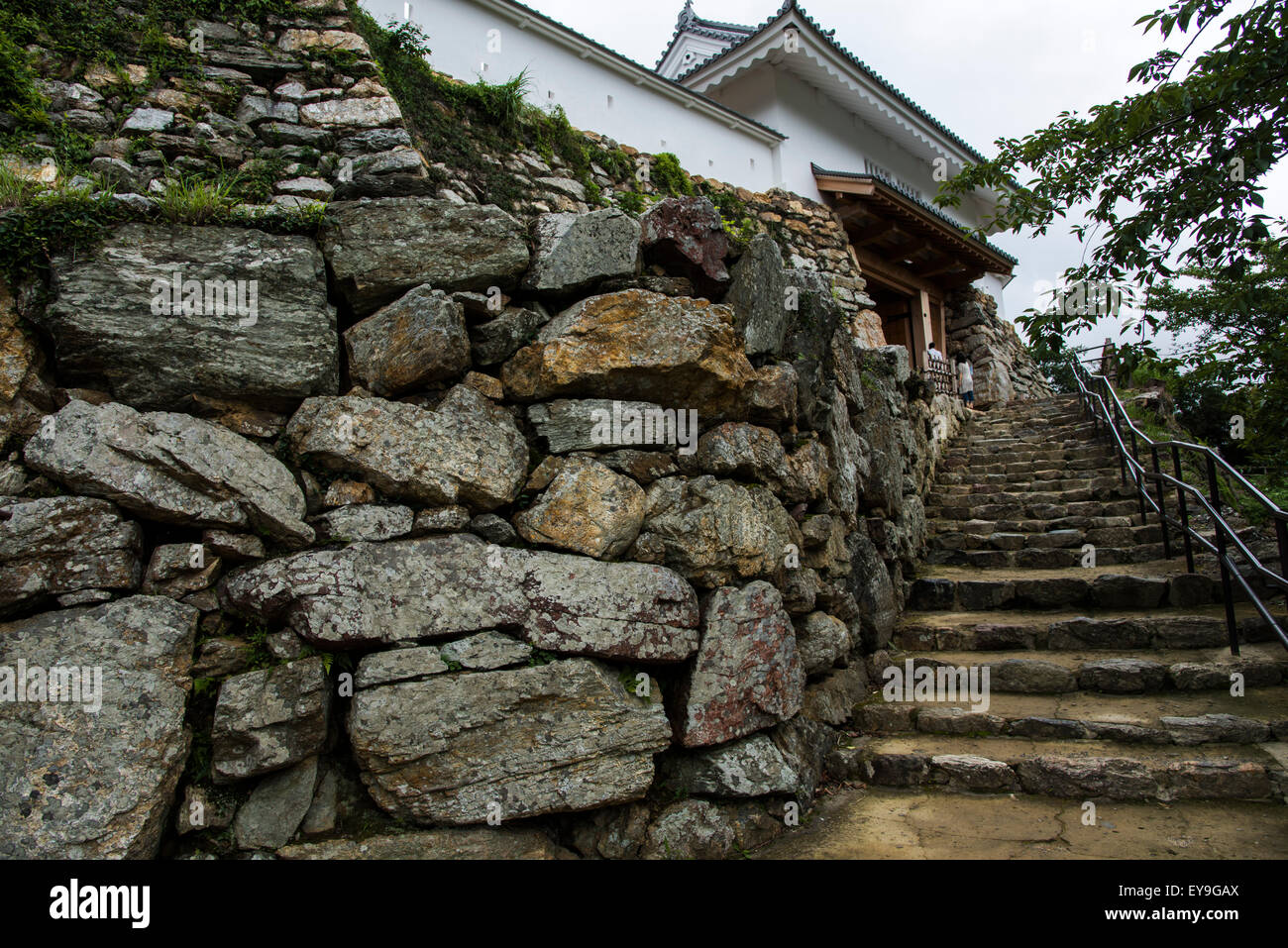 Hamamatsu Castle,Parco del Castello di Hamamatsu,città di Hamamatsu,Prefettura di Shizuoka, Giappone Foto Stock