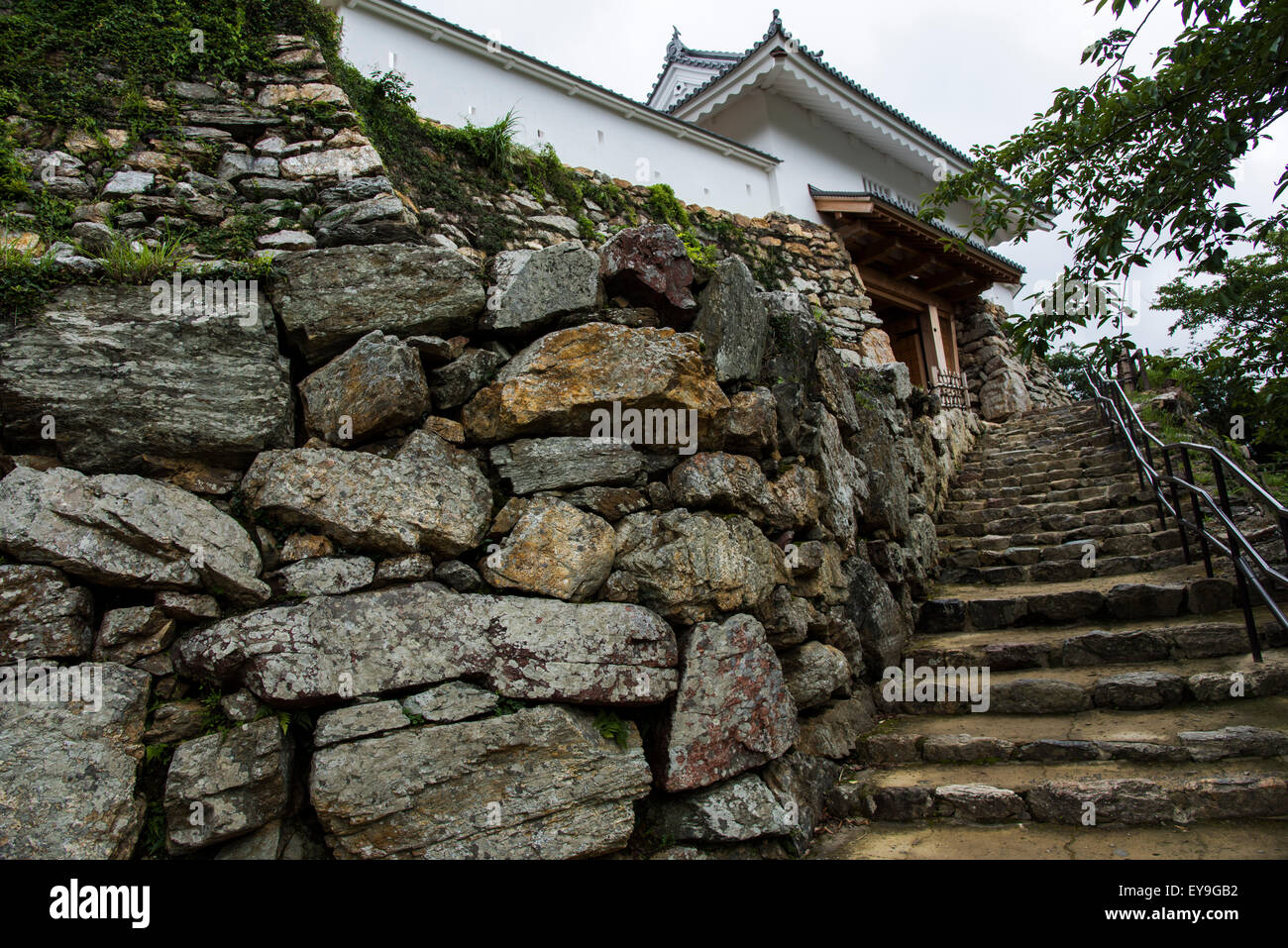 Hamamatsu Castle,Parco del Castello di Hamamatsu,città di Hamamatsu,Prefettura di Shizuoka, Giappone Foto Stock