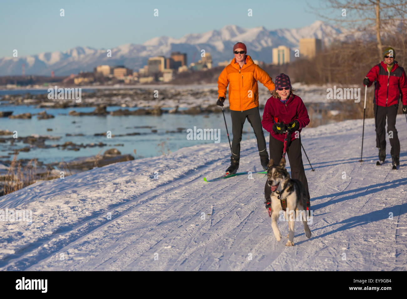 Husky,l'ancoraggio,famiglia,Sci di fondo Foto Stock