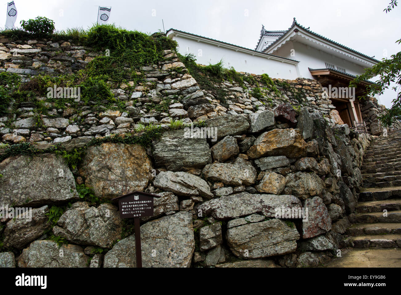 Hamamatsu Castle,Parco del Castello di Hamamatsu,città di Hamamatsu,Prefettura di Shizuoka, Giappone Foto Stock