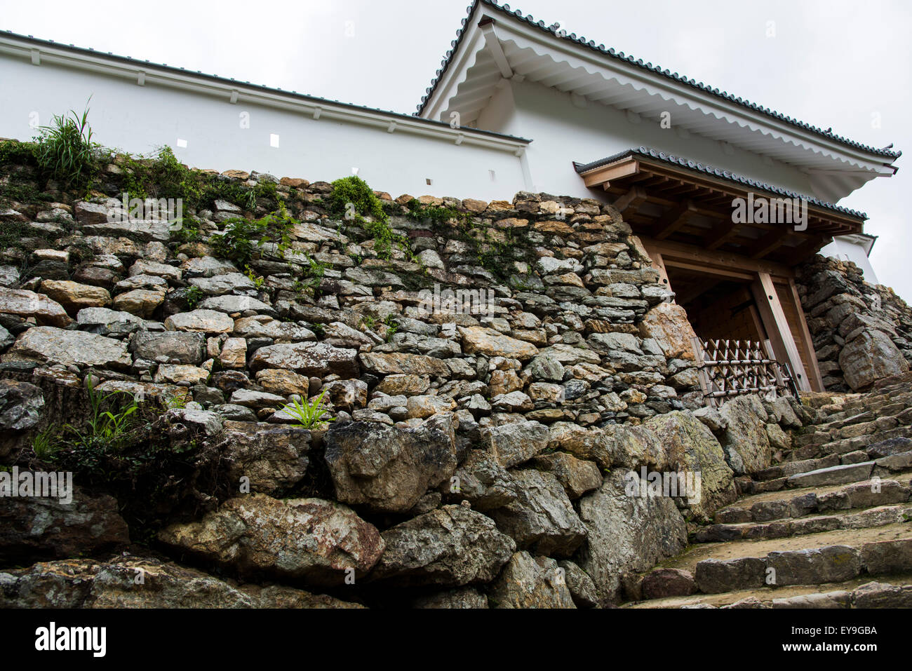 Hamamatsu Castle,Parco del Castello di Hamamatsu,città di Hamamatsu,Prefettura di Shizuoka, Giappone Foto Stock