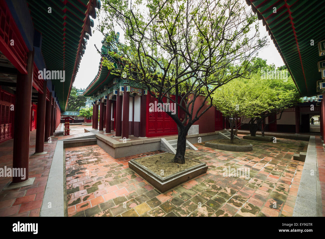 Alberi nel cortile di Zheng Chenggong (Koxinga) Santuario; Tainan, Taiwan Foto Stock