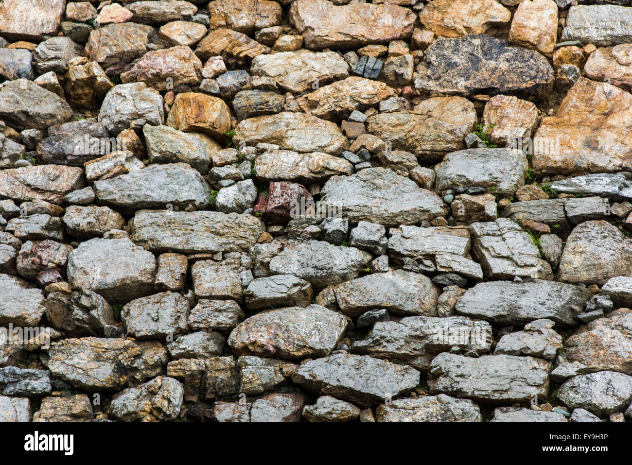 Hamamatsu Castle,Parco del Castello di Hamamatsu,città di Hamamatsu,Prefettura di Shizuoka, Giappone Foto Stock