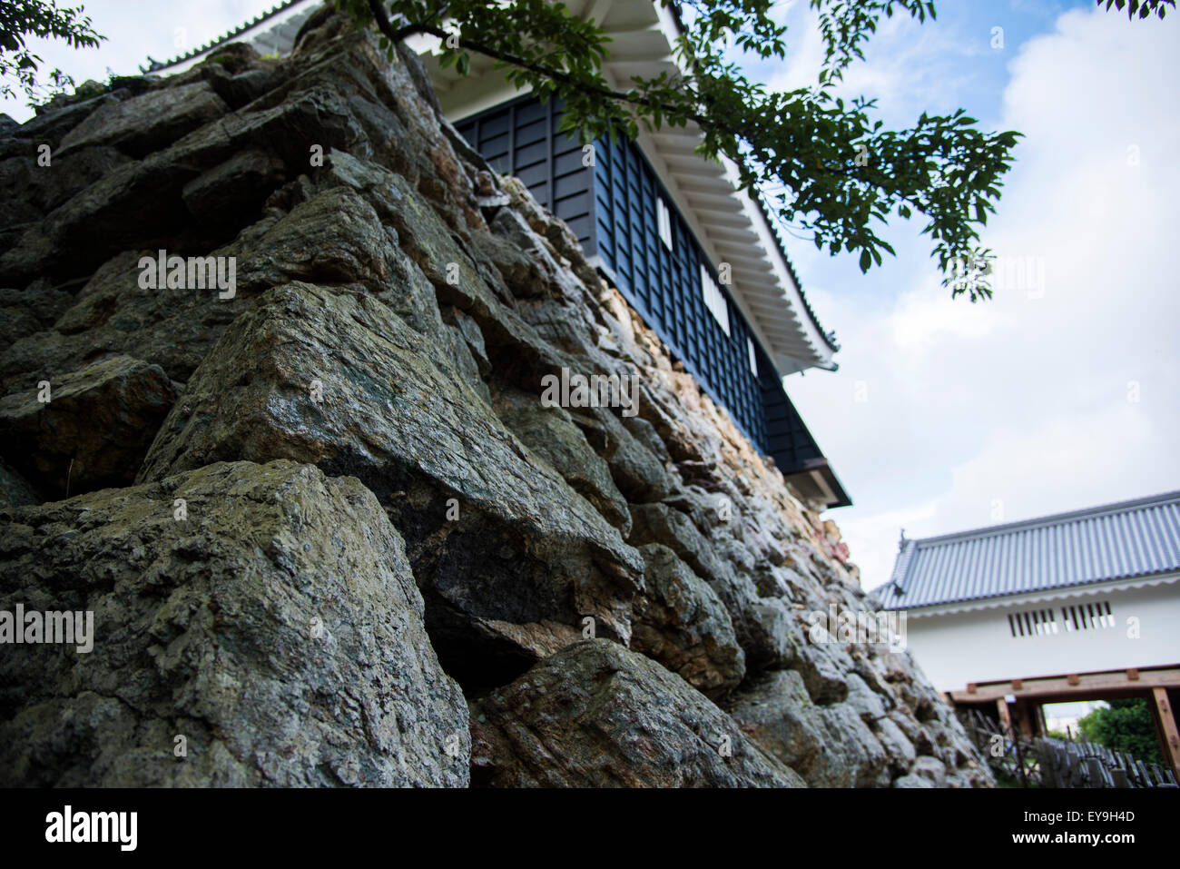 Hamamatsu Castle,Parco del Castello di Hamamatsu,città di Hamamatsu,Prefettura di Shizuoka, Giappone Foto Stock