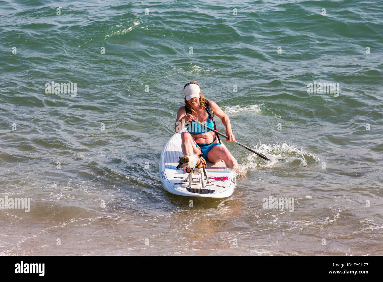Donna pagaia su una tavola da surf o pagaia in mare con il suo cane da compagnia, West Bay, Jurassic Coast, Dorset, Inghilterra sud-occidentale, in estate Foto Stock