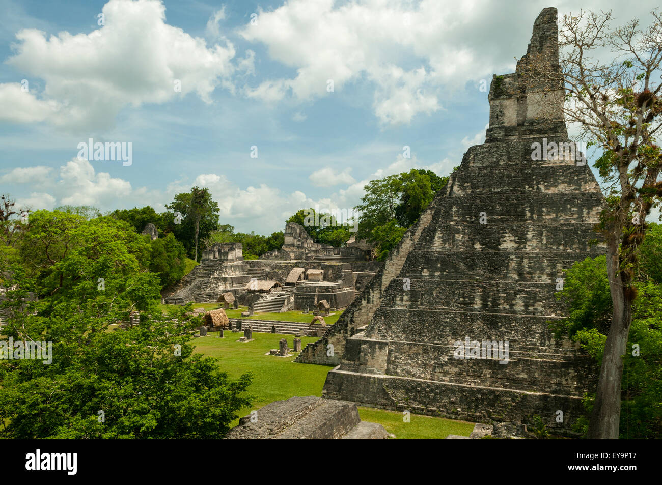 Il Templo 1 e Grand Plaza, Tikal, Guatemala Foto Stock