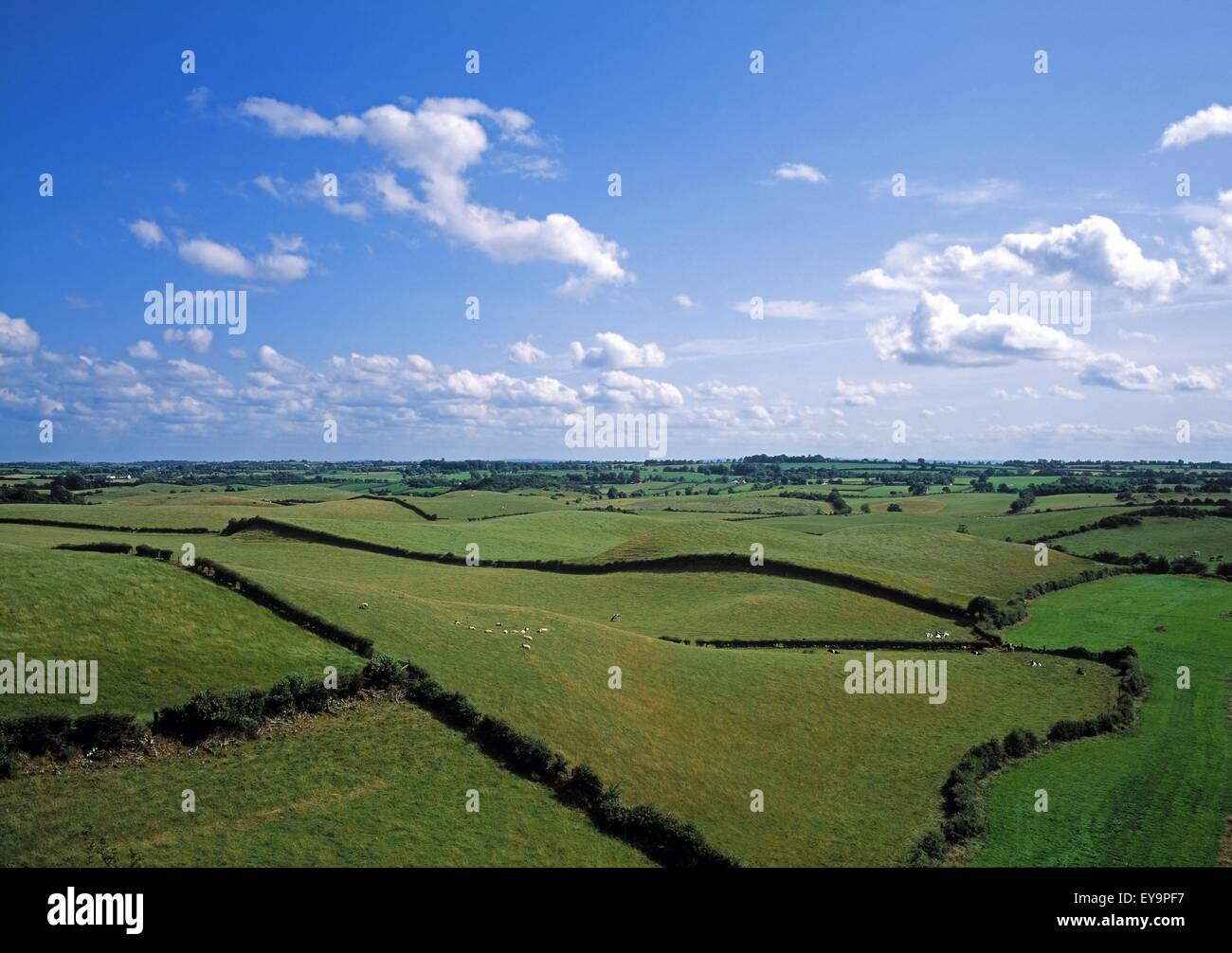 Castello Roche, Co Louth, Irlanda; Drumlins vicino a Dundalk Foto Stock