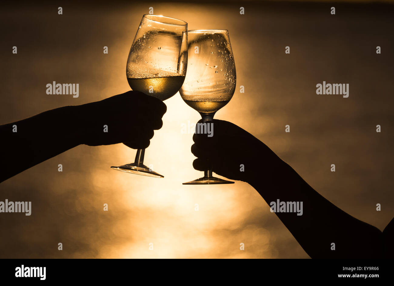 Sollevamento di un bicchiere di vino con un amico al tramonto Foto stock -  Alamy