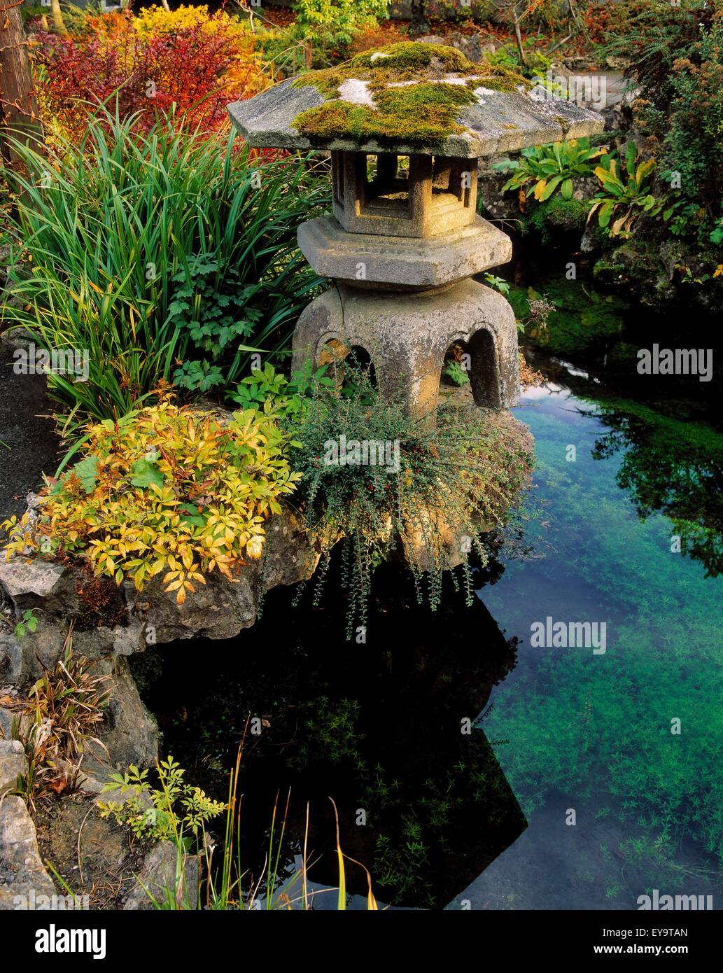 Tully Giardini Giapponesi, Co Kildare, Irlanda; Giapponese lanterna Foto Stock