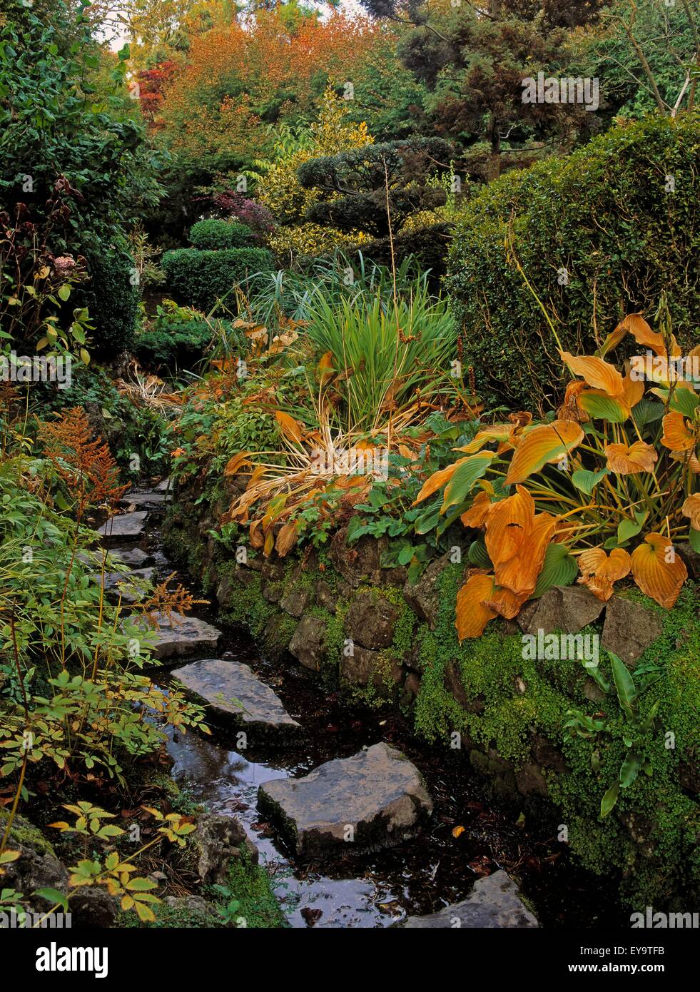 Tully Giardini Giapponesi, Co Kildare, Irlanda; giardino giapponese Foto Stock