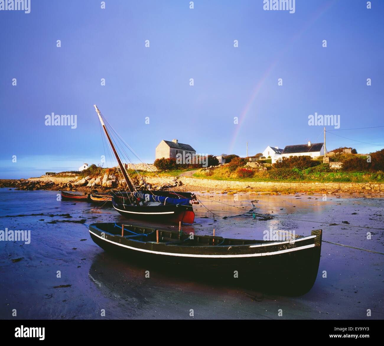 Roundstone, Connemara, nella contea di Galway, Irlanda; barche nel porto di arcobaleno Foto Stock