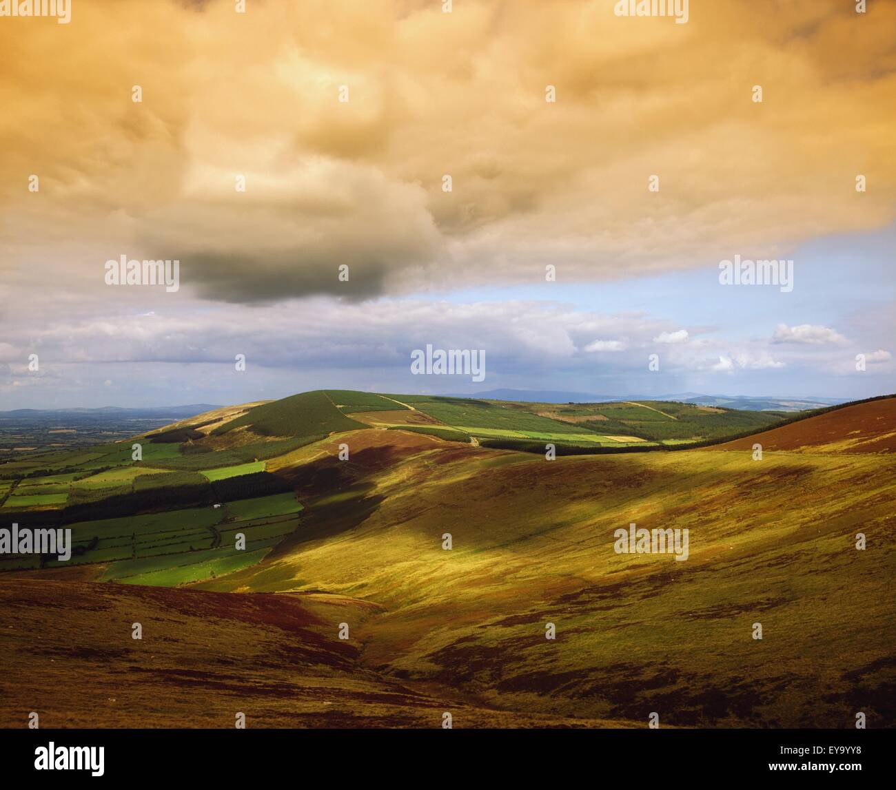 Blackstairs Mountains, Co Carlow, Irlanda; le montagne che corrono approssimativamente lungo la Co Carlow e Co Wexford confine Foto Stock