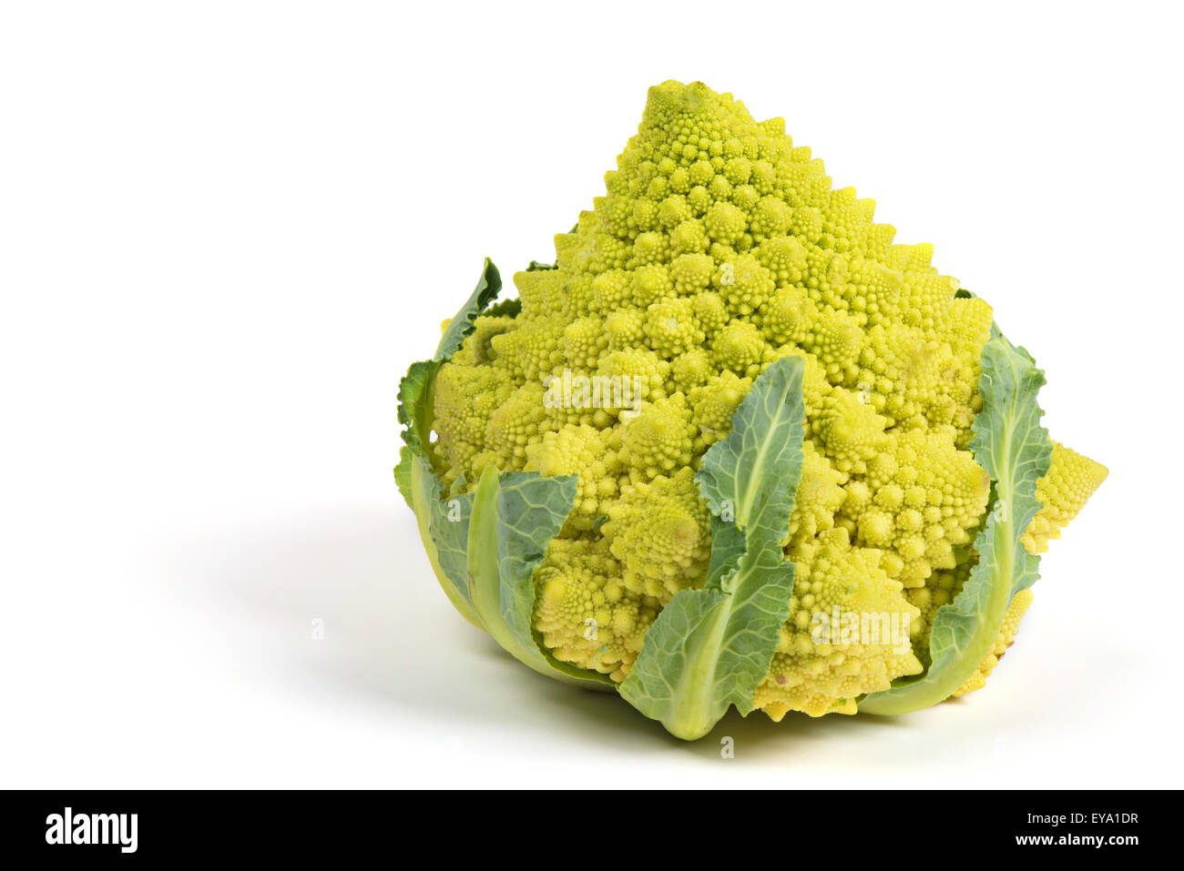 Romanesco broccoli Foto Stock