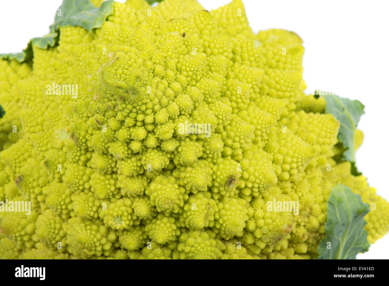 Vista dettagliata del Broccolo romanesco Foto Stock