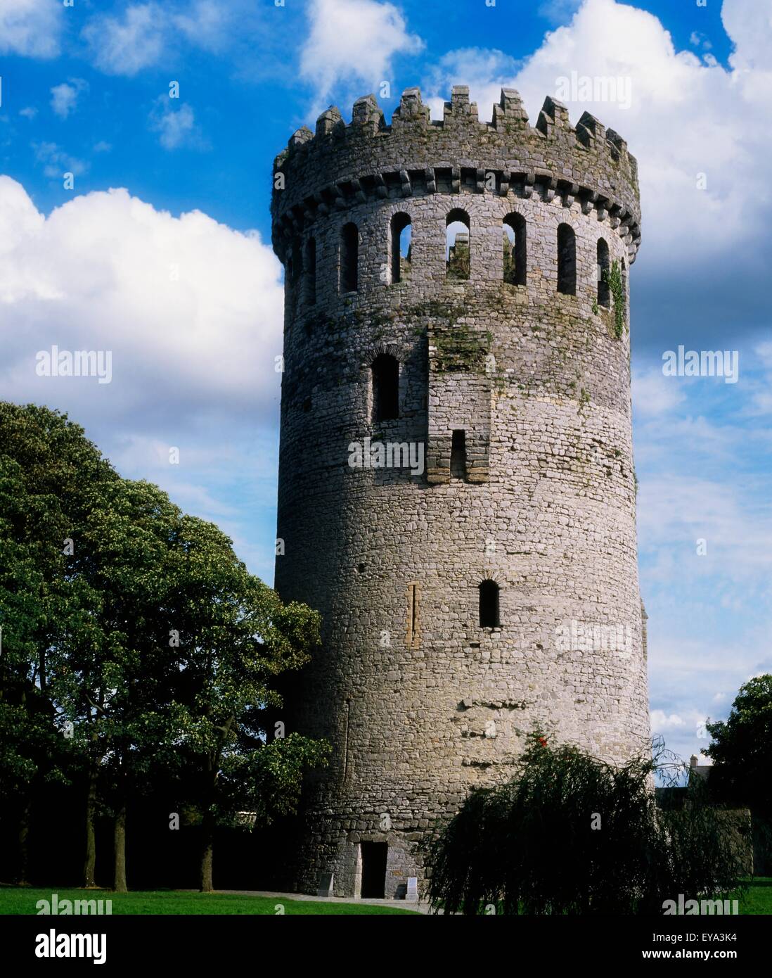 Ormonde Castello, Carrick-On-Suir, Co Tipperary, Irlanda Foto Stock