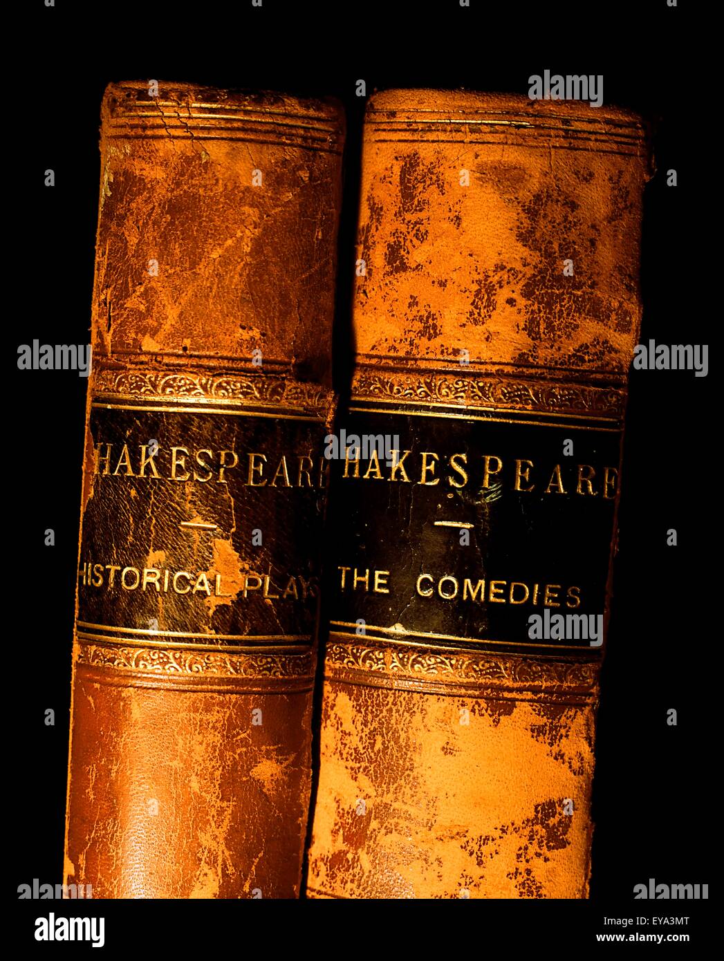 In pelle di Shakespeare libri rilegati Foto Stock