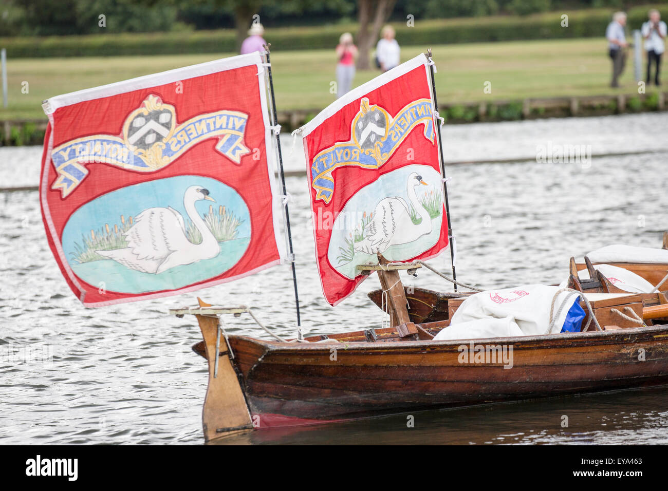 Cigno annuale batte in volata a Henley-on-Thames 2015 Foto Stock