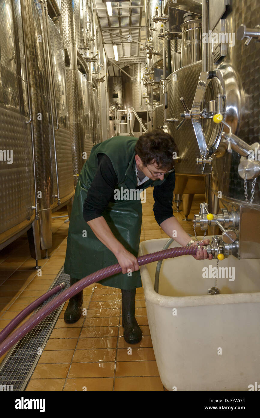 Guebwiller, Francia, serbatoi di acciaio in cantina Domaines Schlumberger Foto Stock