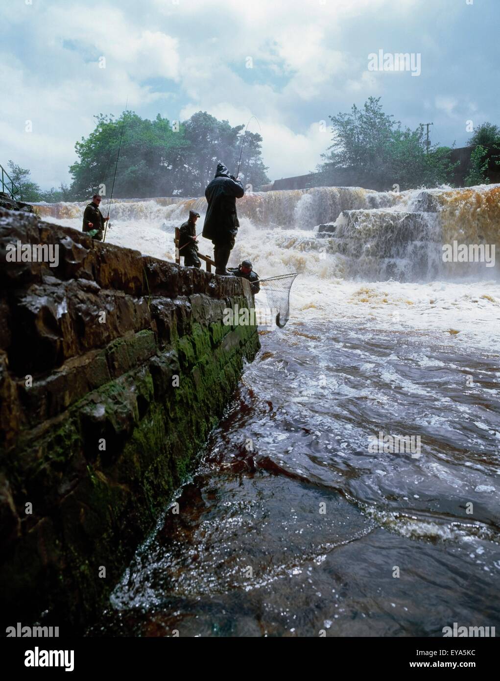 Fiume Ballisodare, Co Sligo Irlanda; Pesca al salmone sulle rive di un fiume Foto Stock