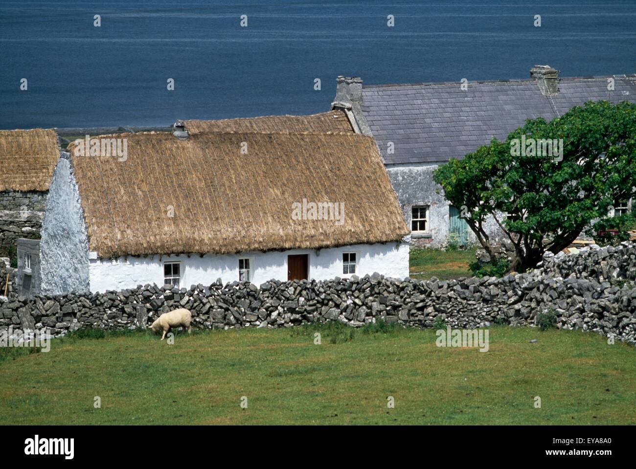 Cottage tradizionale a Inishmore, Isole Aran, nella contea di Galway, Irlanda Foto Stock