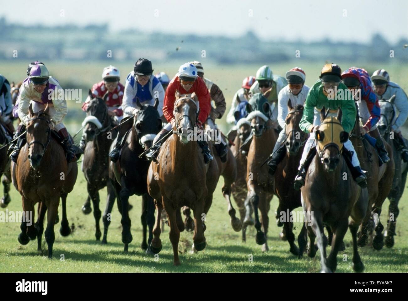 Corse di cavalli, il Curragh Foto Stock