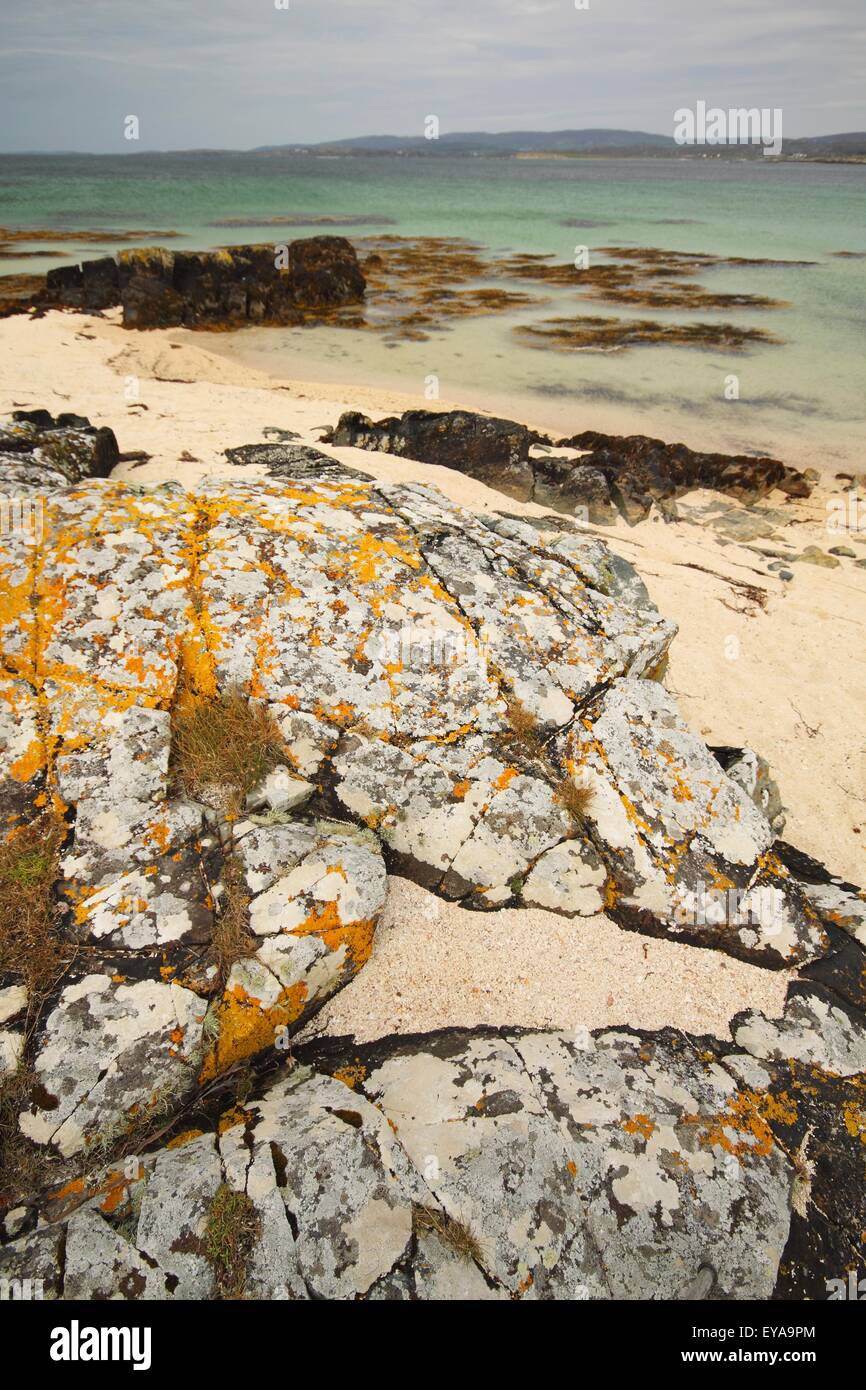 Coral Beach In Ballyconneely nella regione di Connacht; Ballyconneely, nella contea di Galway, Irlanda Foto Stock