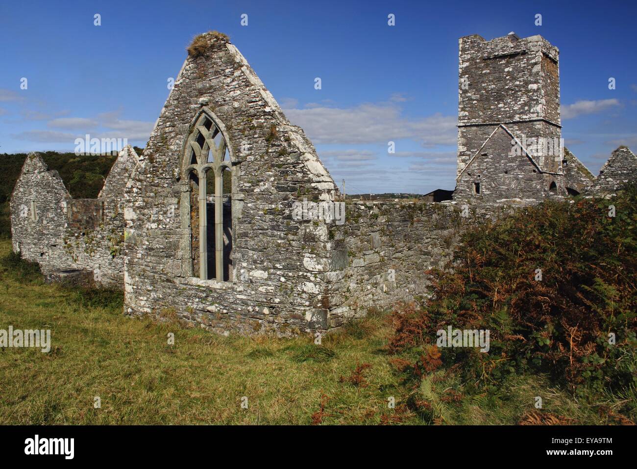 Sherkin Abbazia di isola in Isola di Sherkin Off Il West Cork costa nella regione di Munster; Sherkin Island, nella contea di Cork, Irlanda Foto Stock