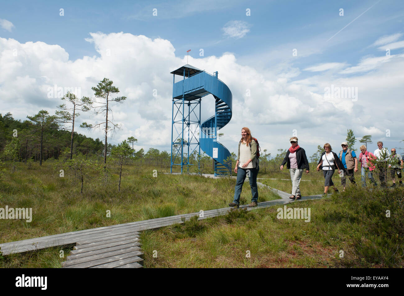 Un gruppo di escursionisti tedesco passa una torre di guardia che si affaccia il bog a Soomaa National Park in Estonia. Foto Stock