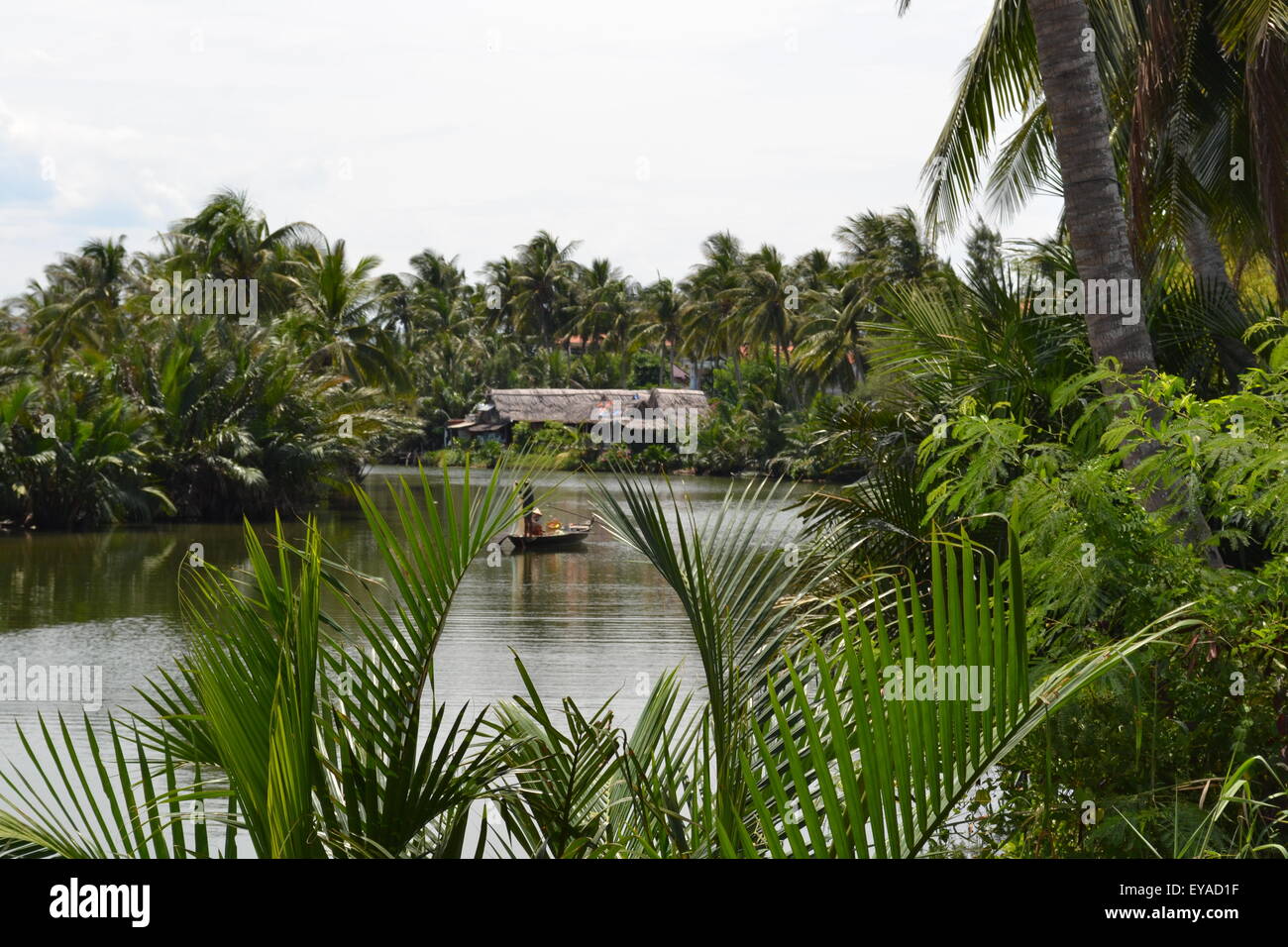 I pescatori su Thu Bon river, Hoi An Foto Stock