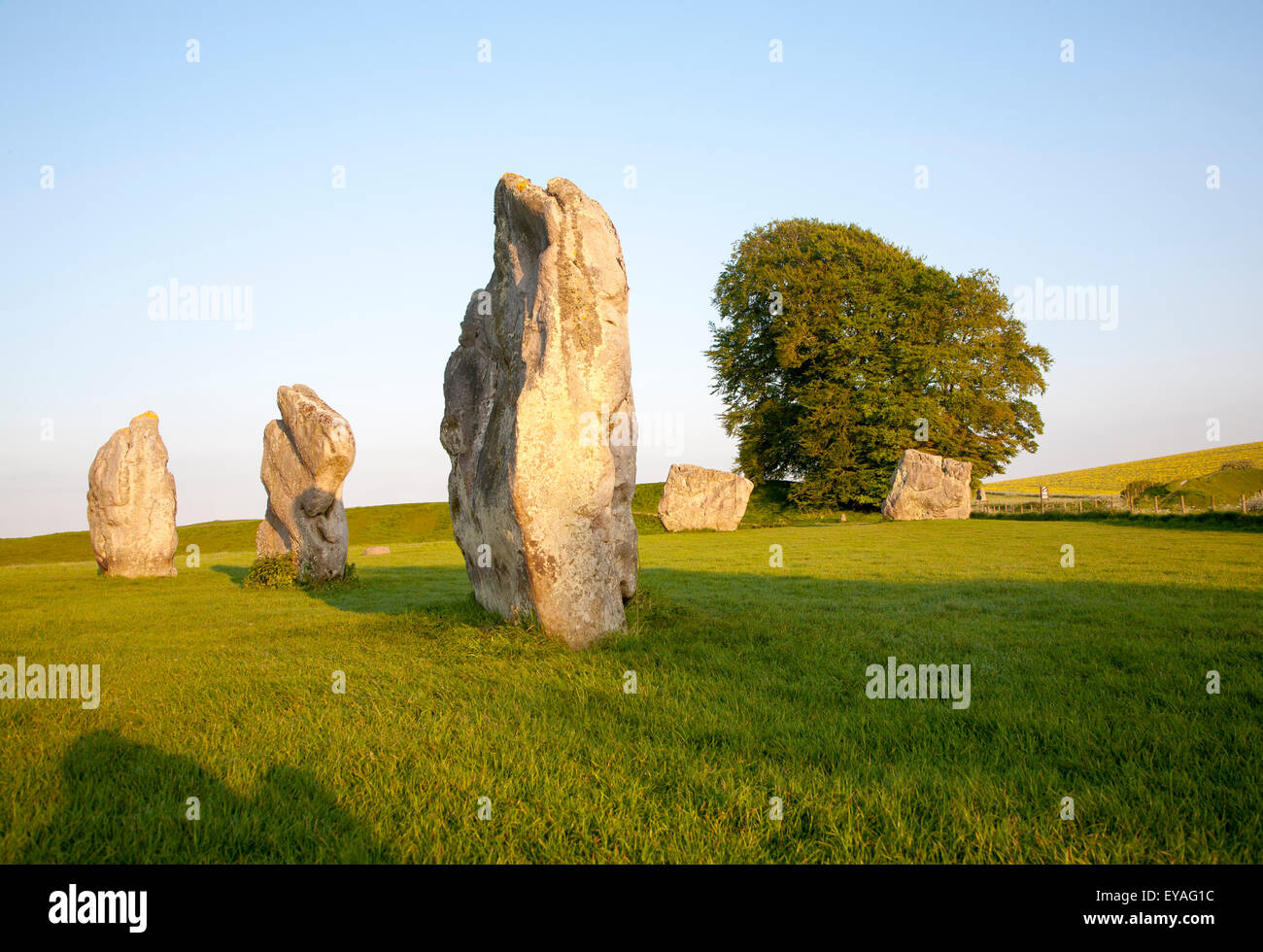 Il neolitico cerchio di pietra e henge ad Avebury, Wiltshire, Inghilterra, Regno Unito Foto Stock